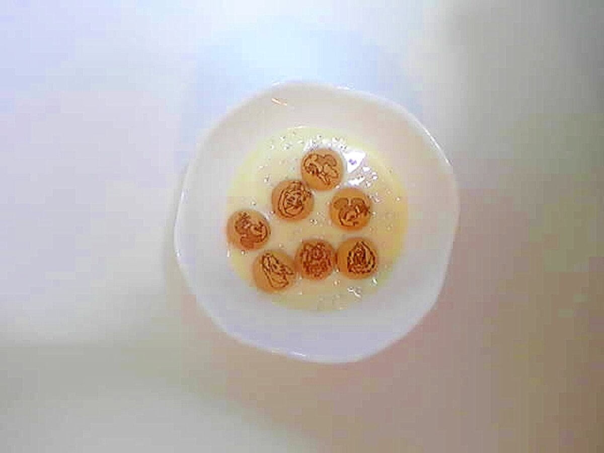 パックンチョヨーグルト レシピ 作り方 By Aytmm 楽天レシピ